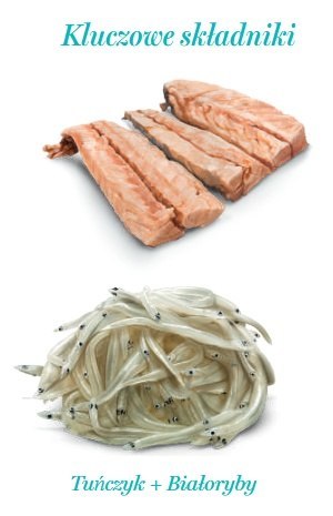 Amanova Kot Tuna & Whitebaits w bulionie puszka 70g