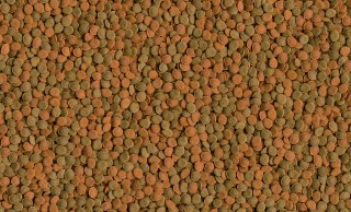 Tetra Wafer Mix 1000ml
