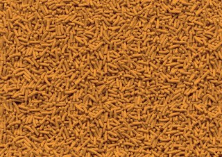 Tetra Pond Koi Sticks Wiaderko 10l