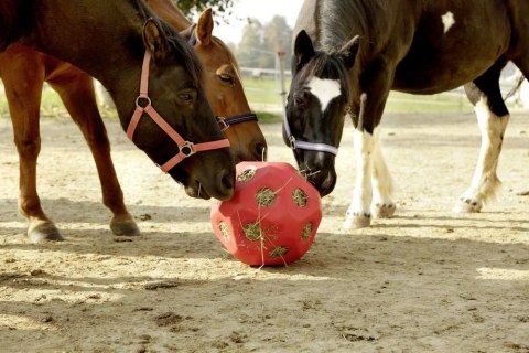 KERBL Piłka Do Zabawy Dla Koni HeuBoy
