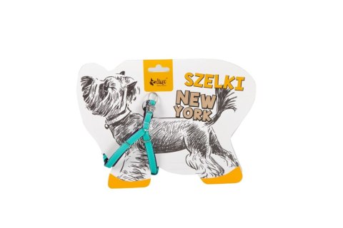 Dingo New York Szelki Step-In Dla Yorka I Małego Psa Miętowe Dingo New York Szelki Step-In Dla Yorka I Małego Psa Miętowe